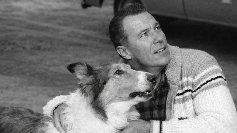 Lassie: Look Homeward (1965)
