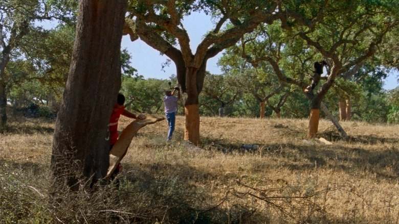 The Seasons (2025)