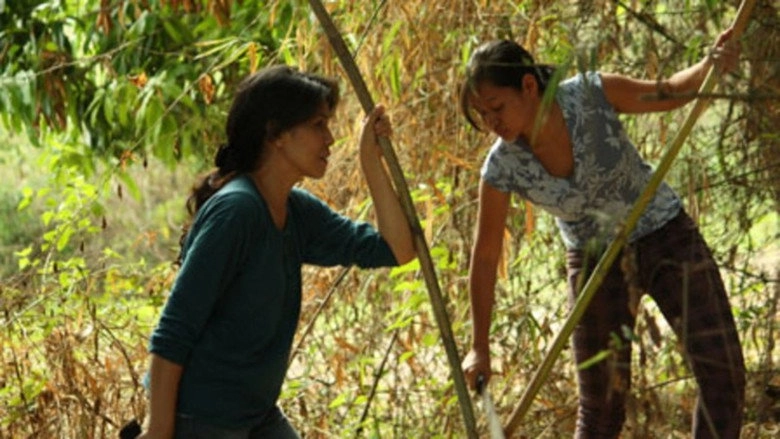 Ang Panggagahasa Kay Fe (2009)