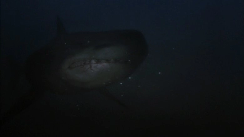 Shark Hunter (2001)