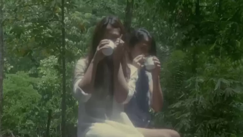 People Power Bombshell: The Diary Of Vietnam Rose (2016)