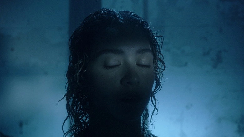 SHIFTING VISIONS (2022)