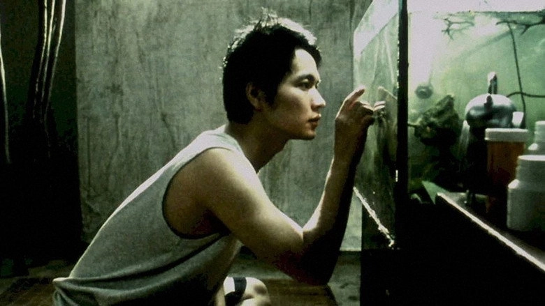 Majimak Babsang (2008)