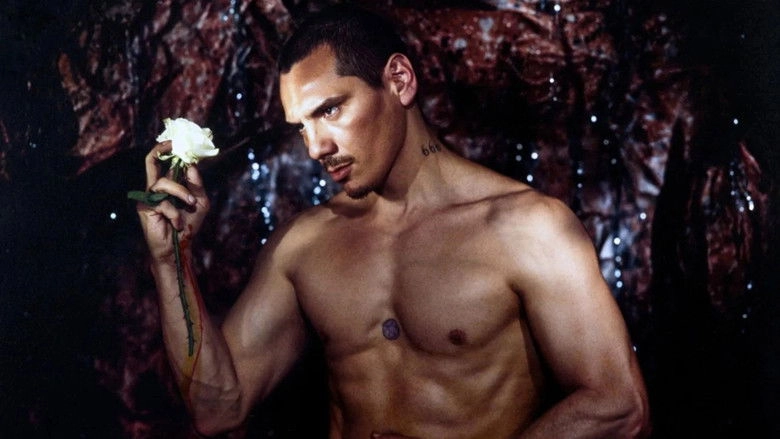 The Material Boy (2015)