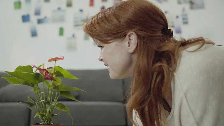 Harmonia Solid (2020)