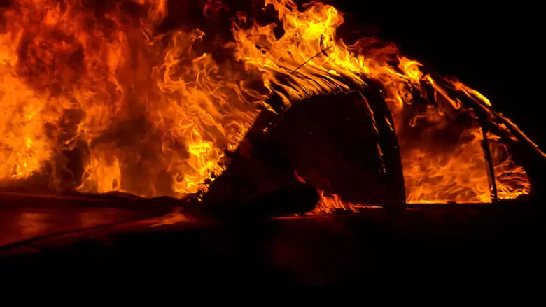 Fire In Paradise (2019)