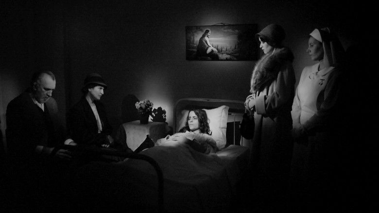 O Cinema, Manoel De Oliveira E Eu (2016)