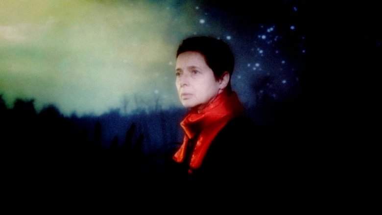 The Rabbit Hunters (2020)