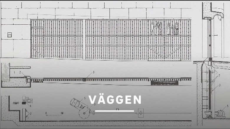 Vaggen (2007)