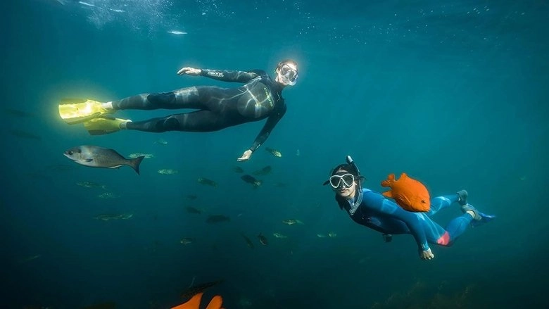 The Map To Paradise (2019)