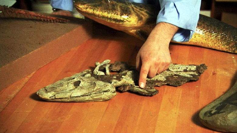 NOVA: Judgement Day - Intelligent Design On Trial (2007)