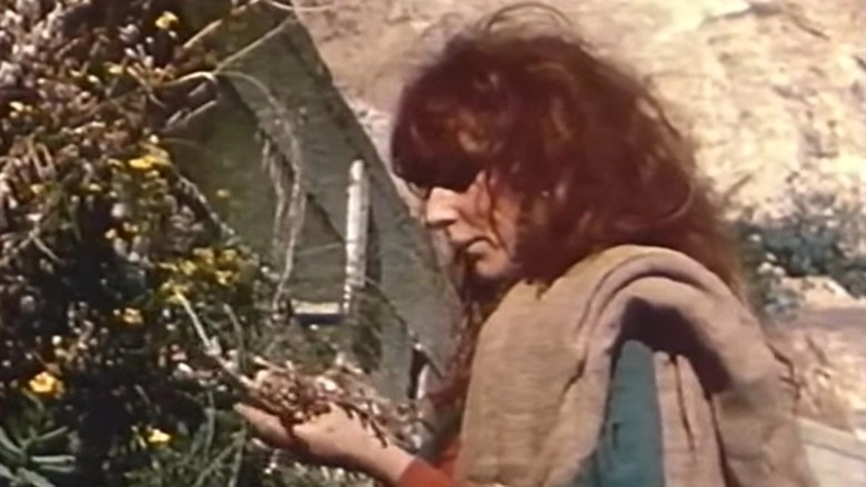 Vali (1967)