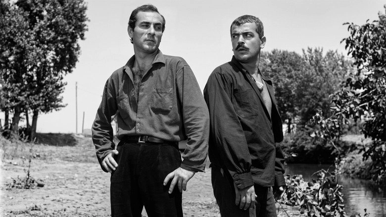 Celik Bilek (1967)
