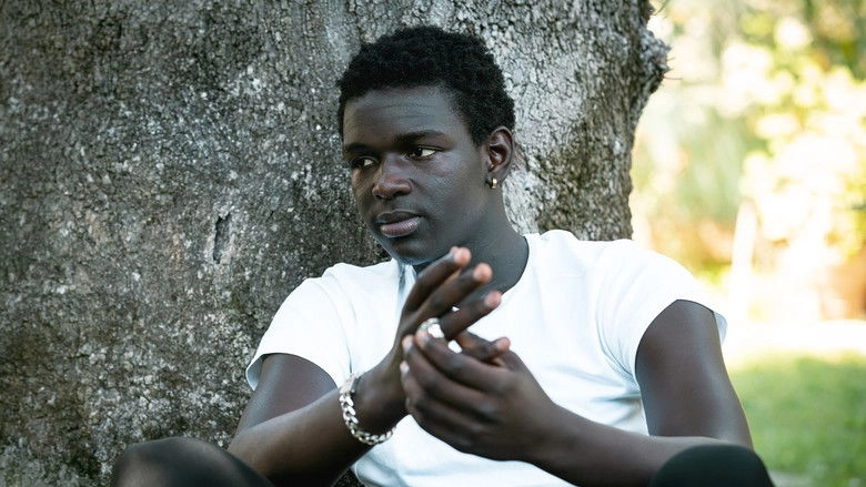 Seydou, Il Sogno Non Ha Colori (2024)