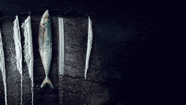 Turn Of The Tide: The Surreal Story Of Rabo De Peixe (2025)