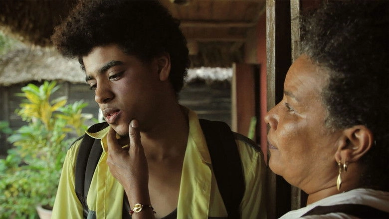 Ayiti Mon Amour (2016)