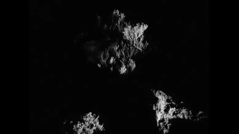 Fossil Falls (2019)