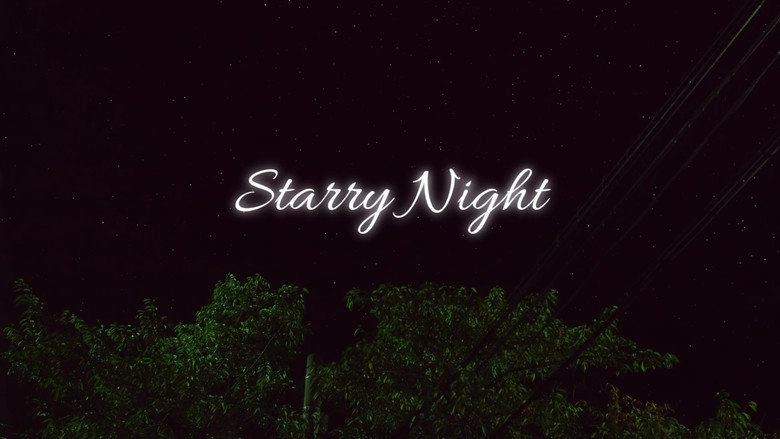 Starry Night (2013)