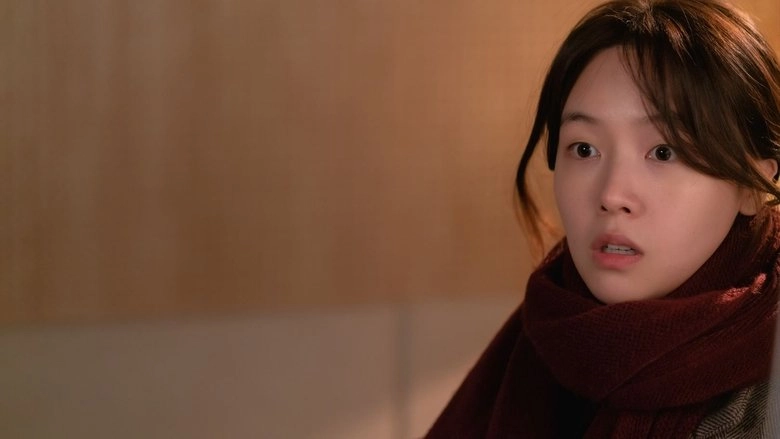 How Have You Been (2024)