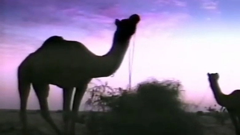 L'ozone N'a Qu'une Bosse (1991)