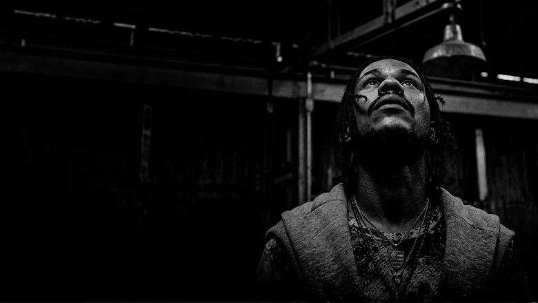 Domingo Sem Deus (2026)