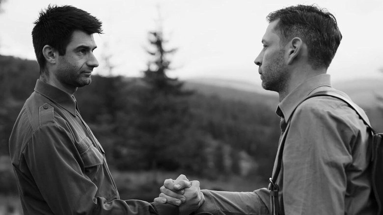 Spioni De Ocazie (2021)