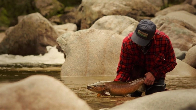 Only The River Knows (2012)