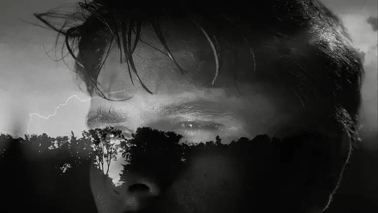 A Voyeurs Body (2026)