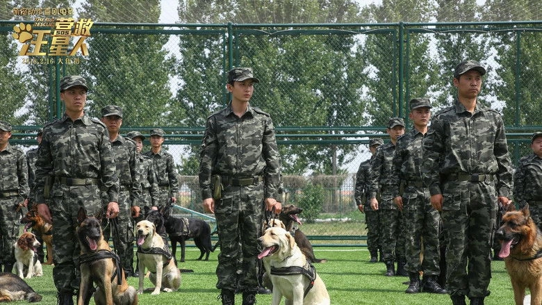 Year Of The Dog (2018)