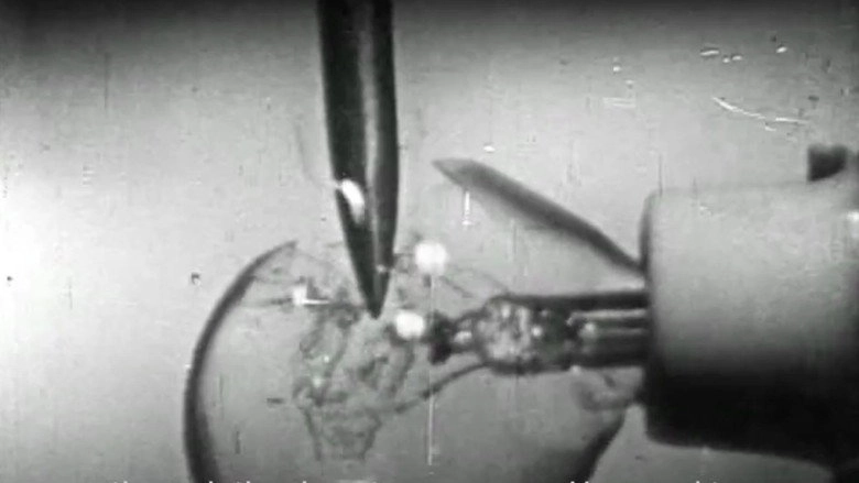 Report (1967)