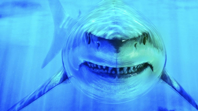 World's Biggest Great White Shark (2019)