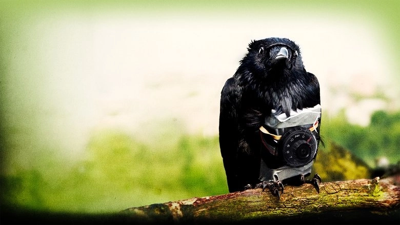Four Lions (2010)