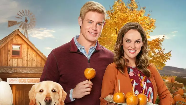 Love, Fall & Order (2019)