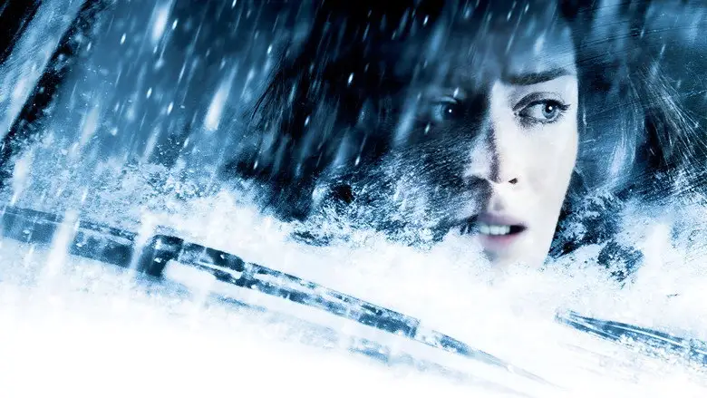 Wind Chill (2007)