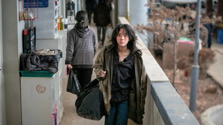 Concrete Market (2025)