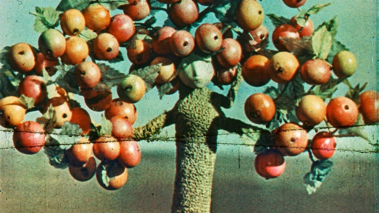 Apple Tree (1973)