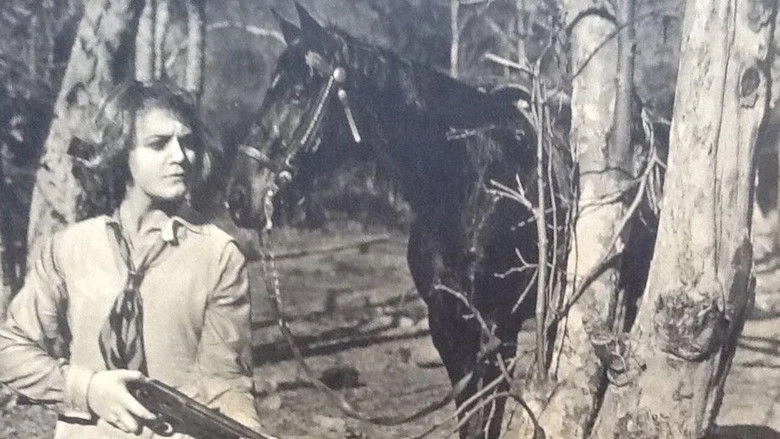 The Boss Of The Lazy Y (1917)