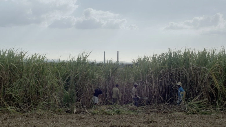 Far Away (2025)
