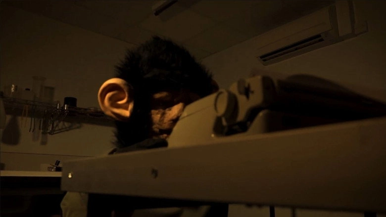 The Infinite Monkey Theorem (2025)