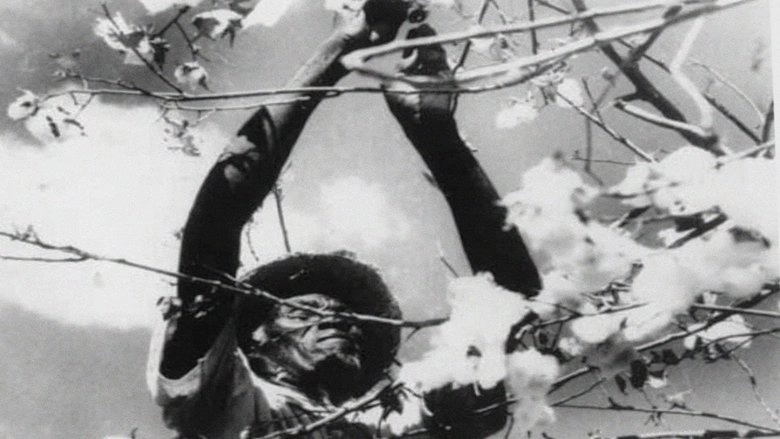 O Pais De Sao Sarue (1971)