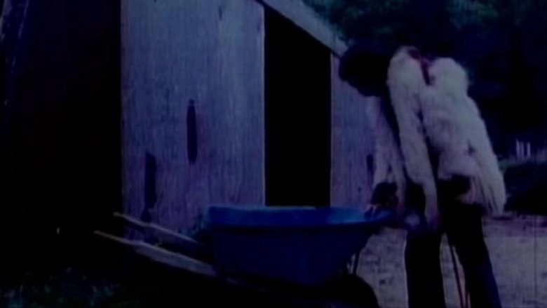 Tales That'll Tear Your Heart Out (2002)