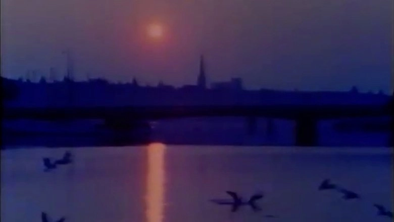 Portratt: En Film Om Stockholm (1981)