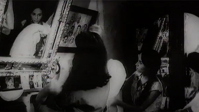 Jamila's Mirror (1993)