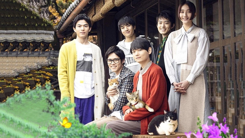 Cat Sharehouse (2022)