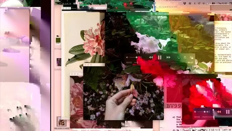 Immaculate Virtual (2022)