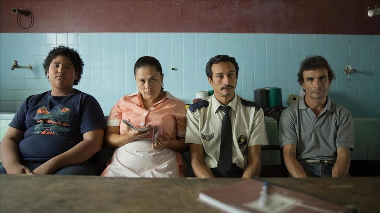 All About The Feathers (2013)