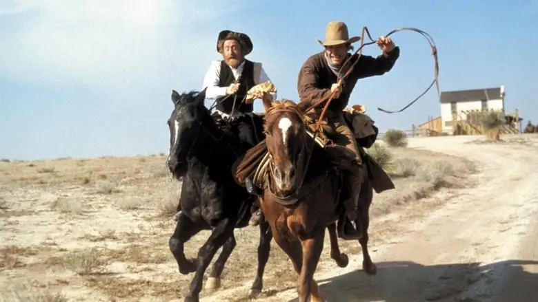 The Frisco Kid (1979)