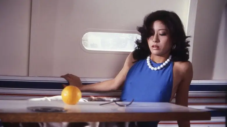 Wife's Sexual Fantasy Before Husband's Eyes (1980)