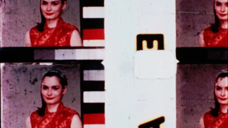 Film In Which There Appear Edge Lettering, Sprocket Holes, Dirt Particles, Etc. (1966)