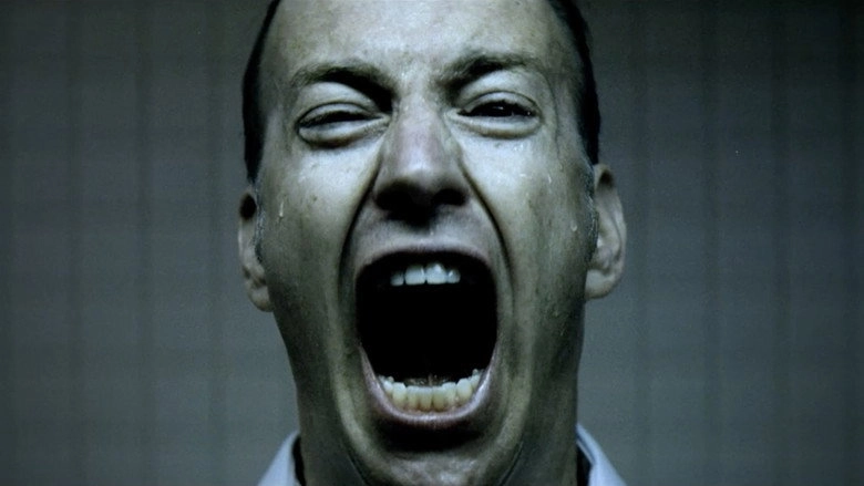 The Candidate (2011)